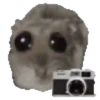 🐹 hámster triste 2🐹 9