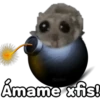 🐹 hámster triste 🐹 5