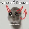 🐹 hámster triste 🐹 6