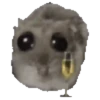 🐹 hámster triste 2🐹 10