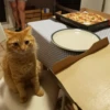pizzahut.com.br PICA ONLINE REDAN