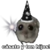 🐹 hámster triste 2🐹 13