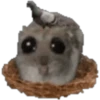 🐹 hámster triste 2🐹 15