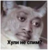 Стики 4281 из @Anonymnyi_chat_bot 10