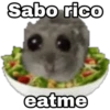 🐹 hámster triste 🐹 7
