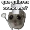 🐹 hámster triste 🐹 9