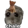 🐹 hámster triste 2🐹 19