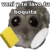🐹 hámster triste 🐹 12
