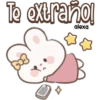 Bunny Sticker 🩷🐰 17
