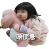 Liu’s Family1 17
