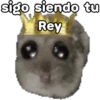 🐹 hámster triste 🐹 15