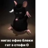 Стики 4281 из @Anonymnyi_chat_bot 14