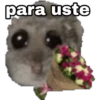 🐹 hámster triste 🐹 16