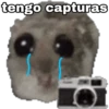 🐹 hámster triste 🐹 17