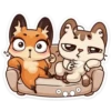 Zorrito amoroso💞1🇵🇪Clásica 20
