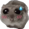 🐹 hámster triste 2🐹 24