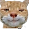 Michis meme 🐱❤️ 23
