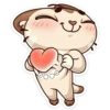 Zorrito amoroso💞1🇵🇪Clásica 23