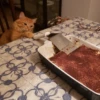 SUSHI 23