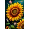 Sunflowers 2 23