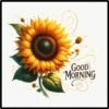 Sunflowers 2 28