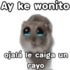 🐹 hámster triste 🐹 23