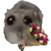 🐹hámster triste 3 🐹 24