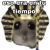 🐹 hámster triste 2🐹 29