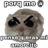 🐹 hámster triste 🐹 26