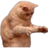 Michis meme 🐱❤️ 29