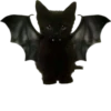 blackcat 14