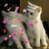 MeowMika — 29