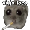 🐹 hámster triste 🐹 29