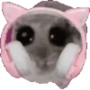 🐹hámster triste 3 🐹 28