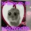 🐹 hámster triste 🐹 30