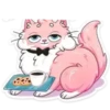 Gatitos💞8🇵🇪Clásica 5