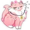 Gatitos💞8🇵🇪Clásica 6