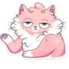 Gatitos💞8🇵🇪Clásica 8
