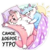 Gatitos💞8🇵🇪Clásica 9