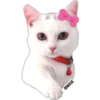 Gatita Coquette 🎀😻🎀 5