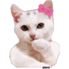 Gatita Coquette 🎀😻🎀 6