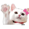 Gatita Coquette 🎀😻🎀 7
