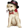Perritos 18 👩🏻‍🎨 Img..1712 10