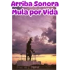 La Pochita 5