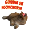 KITTI FAMILY (1) 8