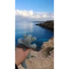 babydino 7