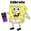 Bob esponja 18