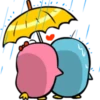 Pinguino Cute🐧💞1🇵🇪Clásica 17