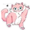 Gatitos💞8🇵🇪Clásica 15