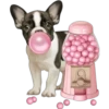Perritos 18 👩🏻‍🎨 Img..1712 17
